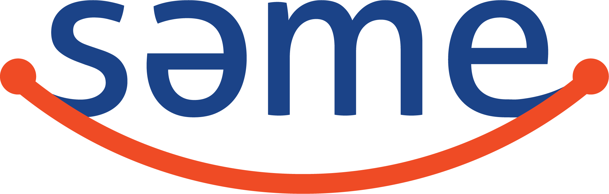 SAME ELEKTRONİK SANAYİ VE TİCARET A.Ş.