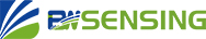 Wuxi Bewis Sensing Technology LLC
