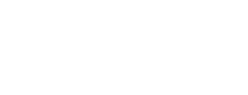 İAS BİLGİ İŞLEM DANIŞMANLIK SANAYİ VE TİCARET ANONİM ŞİRKETİ