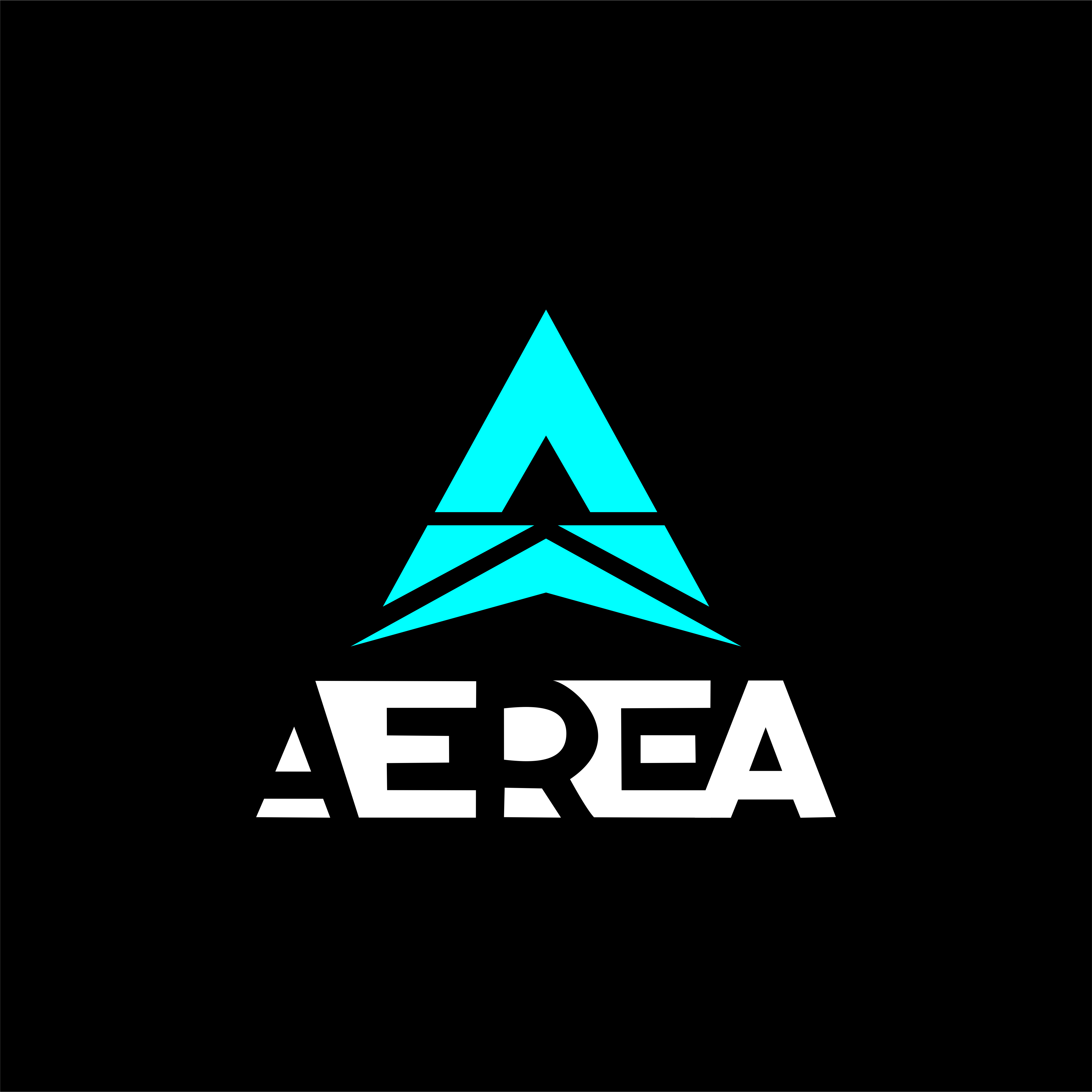 Aerea Technology Free Zone Limited Liability Company（ Aerea Technology FZ‑LLC)