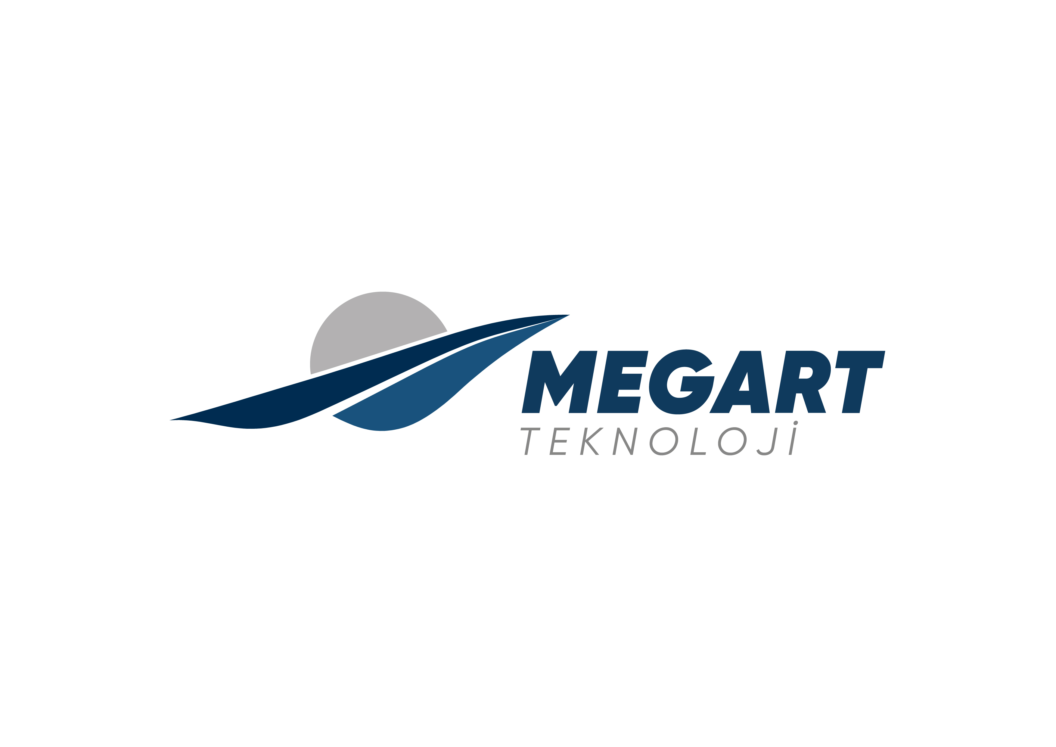 MEGART TEKNOLOJİ SANAYİ VE TİCARET ANONİM ŞİRKETİ