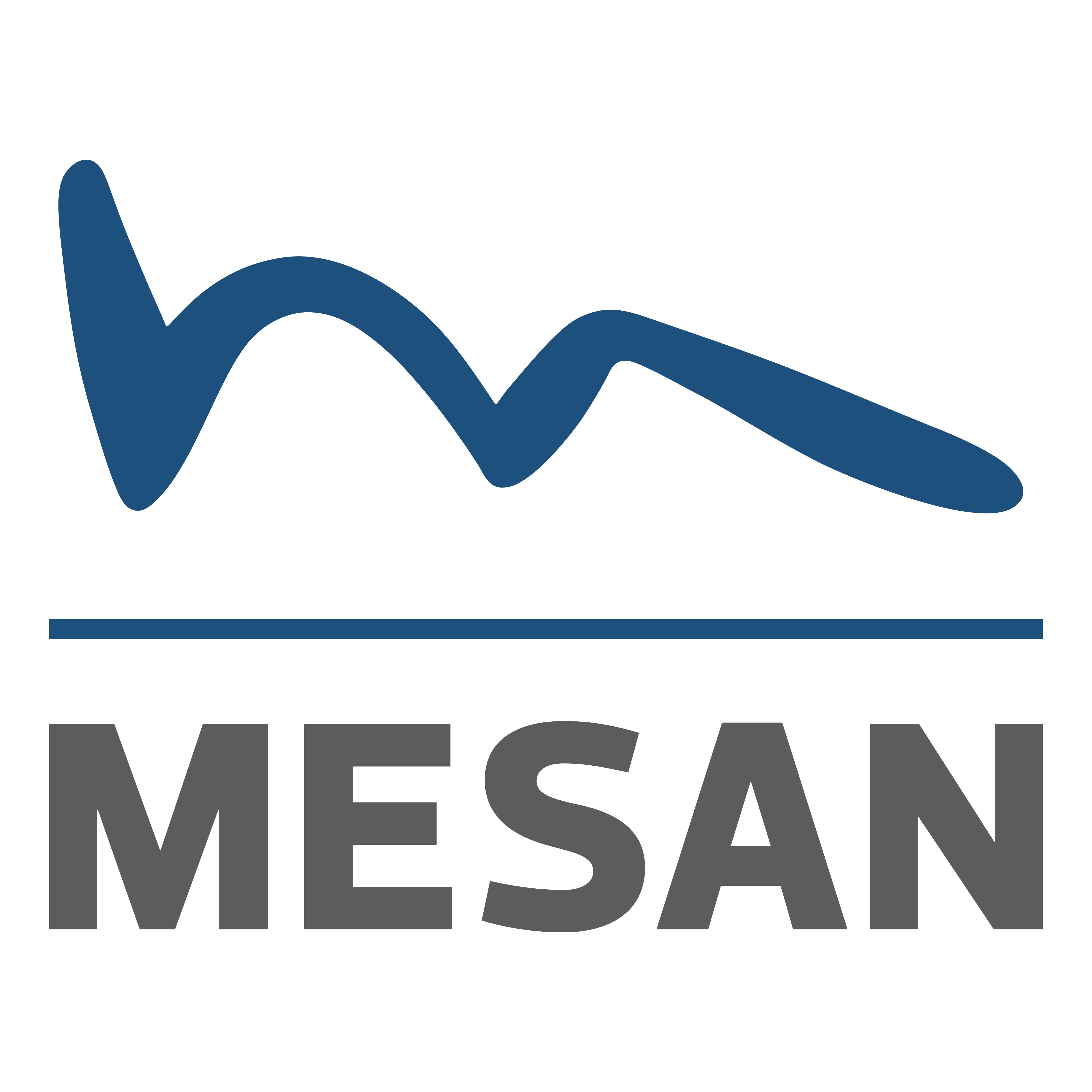 MESAN ELEKTRONİK SANAYİ TİCARET A.Ş.