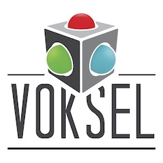 VOKSEL 3D
