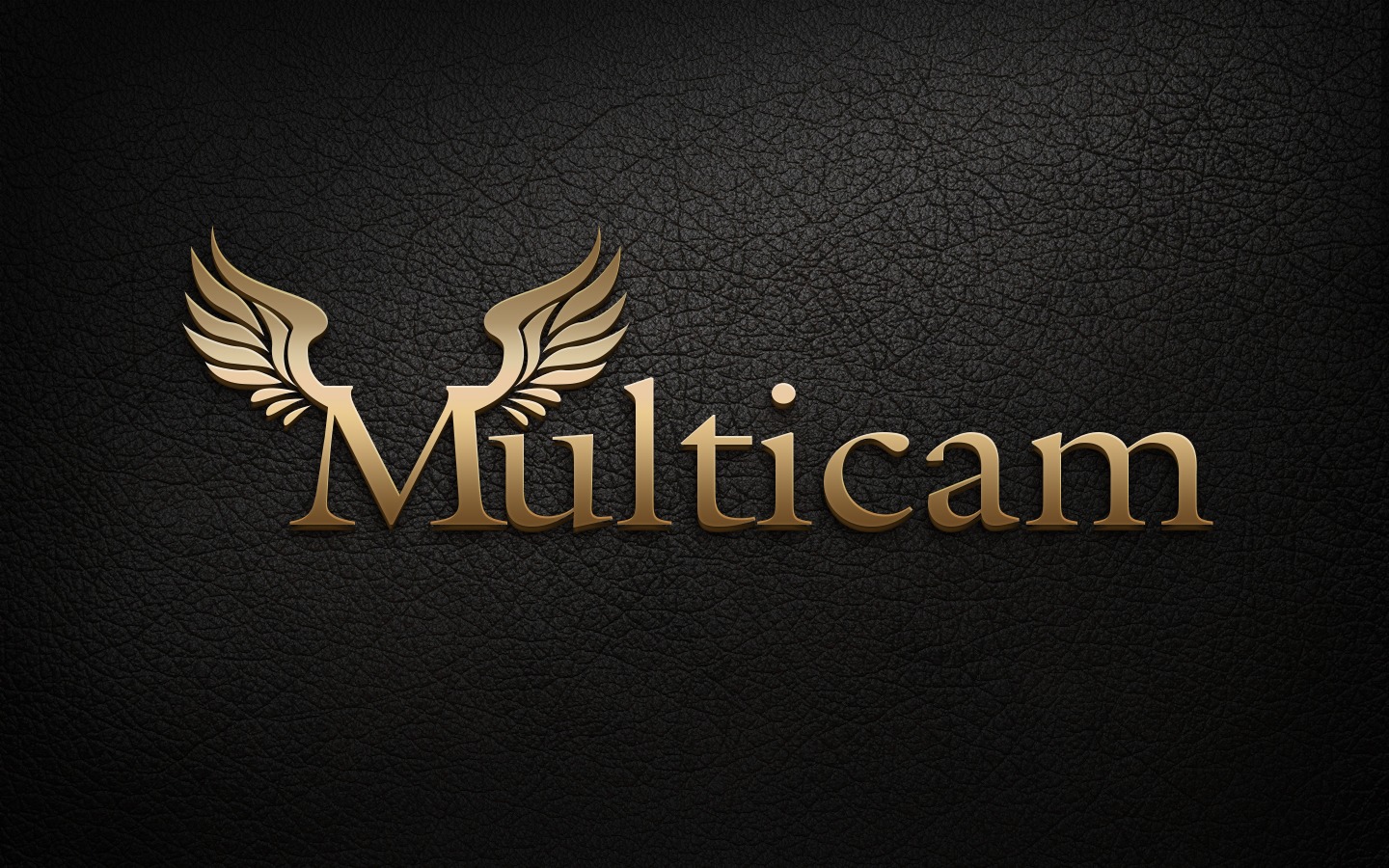MULTİCAM
