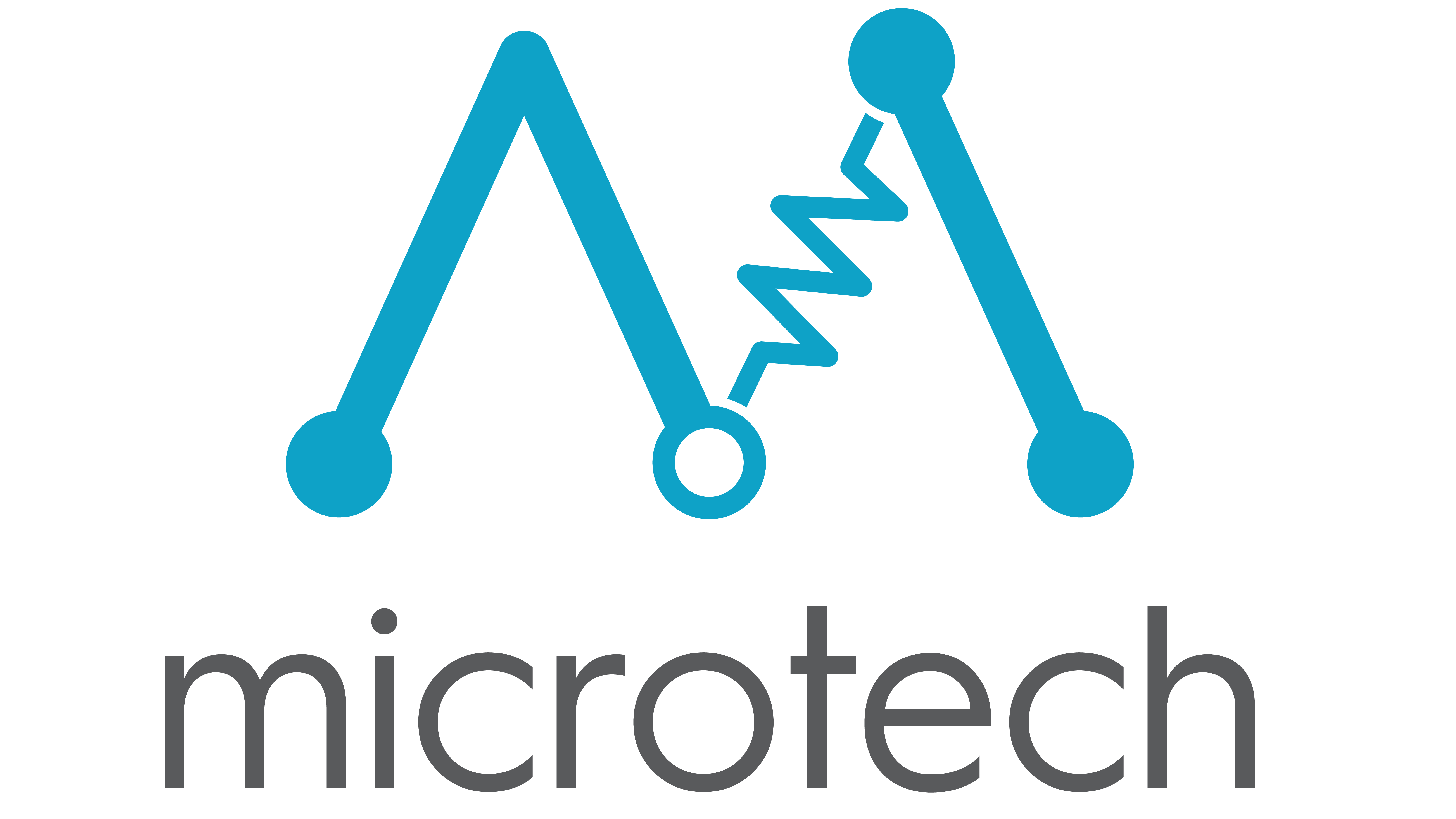 MICROTECH ELEKTROMEKANİK SAN. VE TİC. A.Ş.